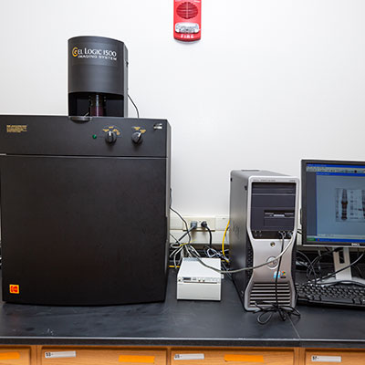 kodak imaging system